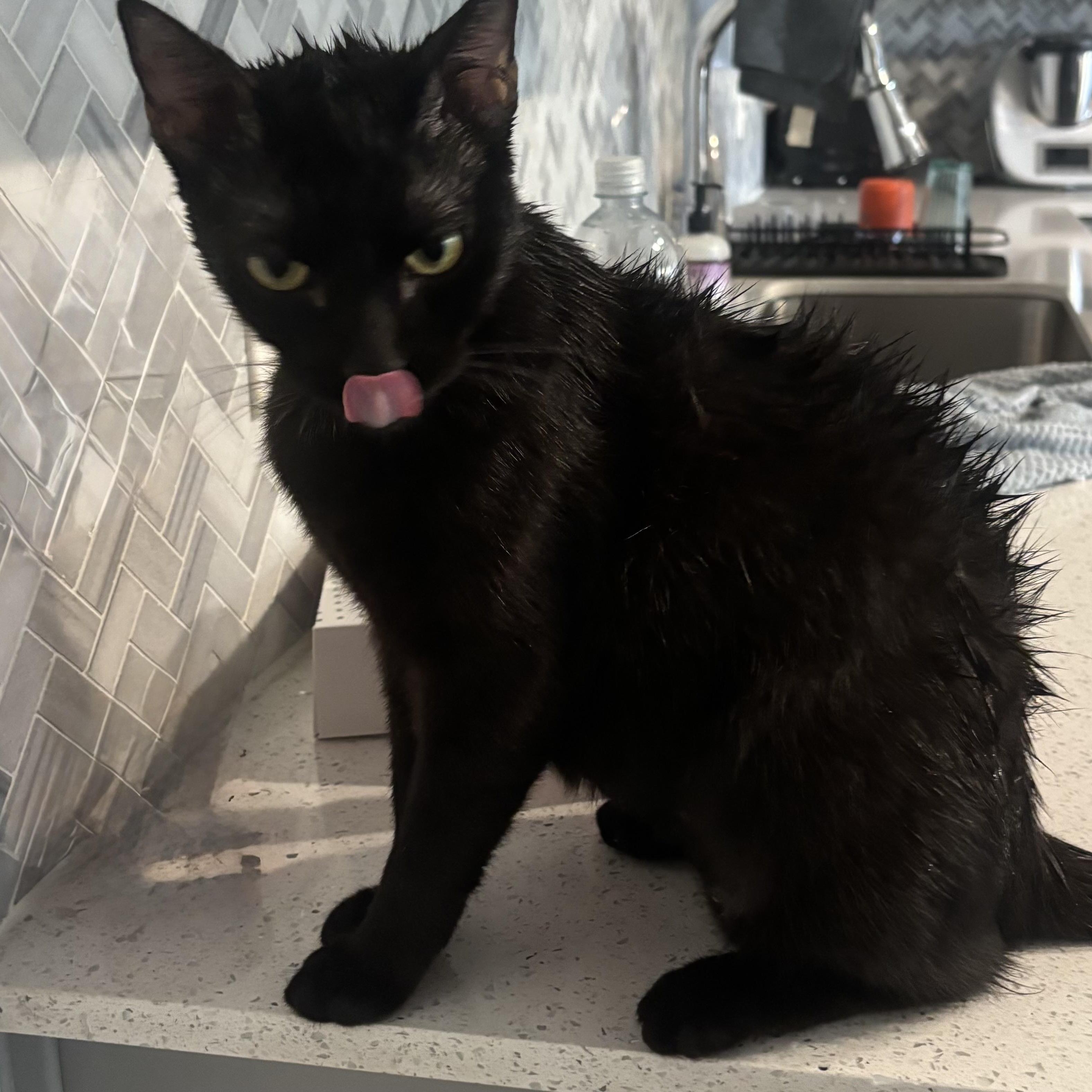 Night - sweet and gorgeous