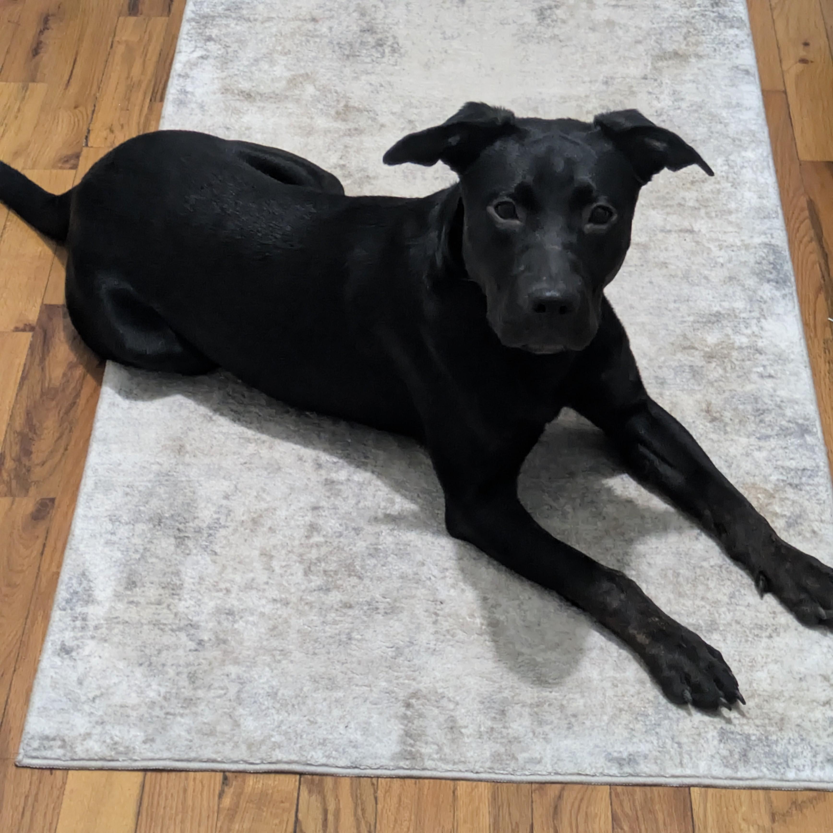 Onyx Courtesy Listing