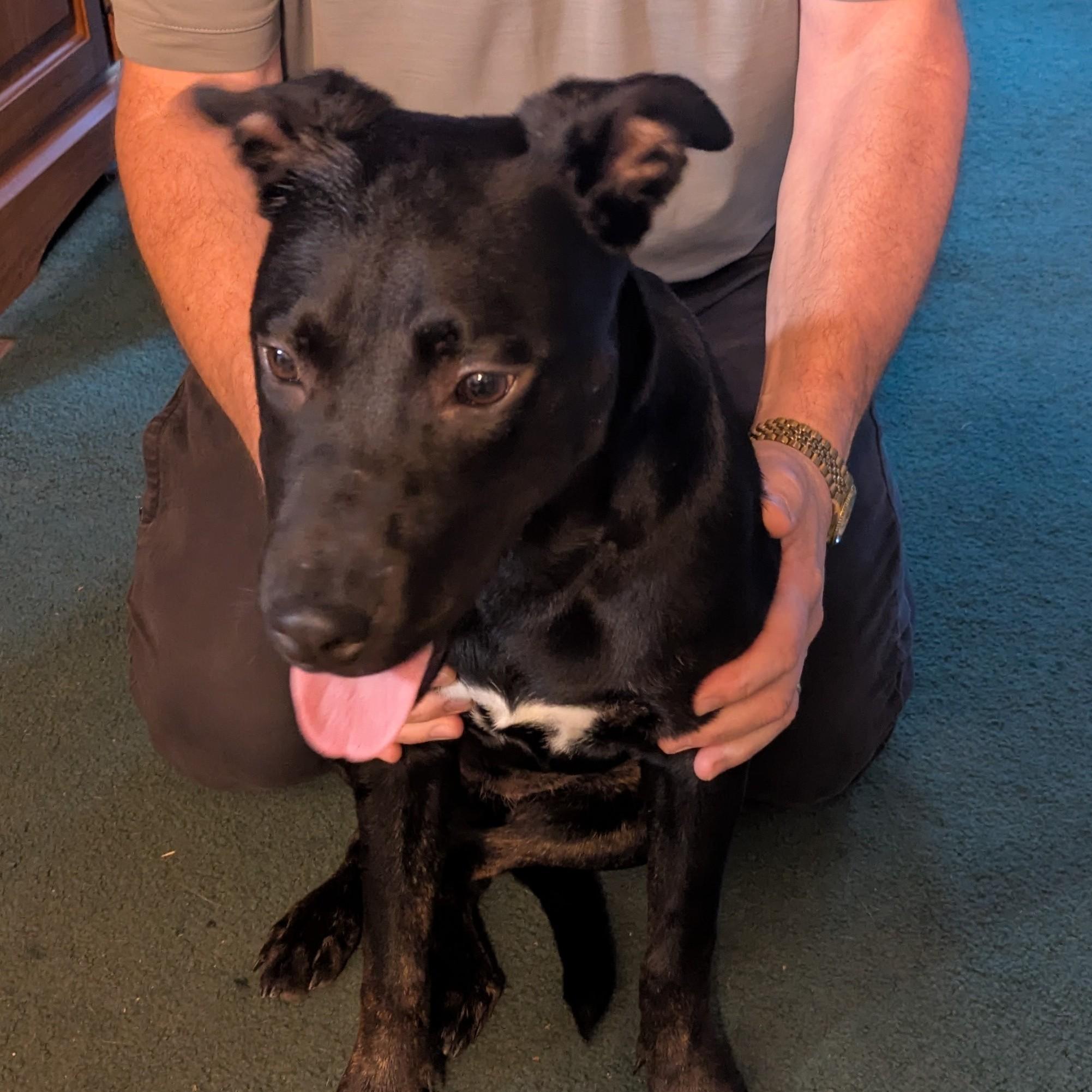 Onyx Courtesy Listing thumbnail 2