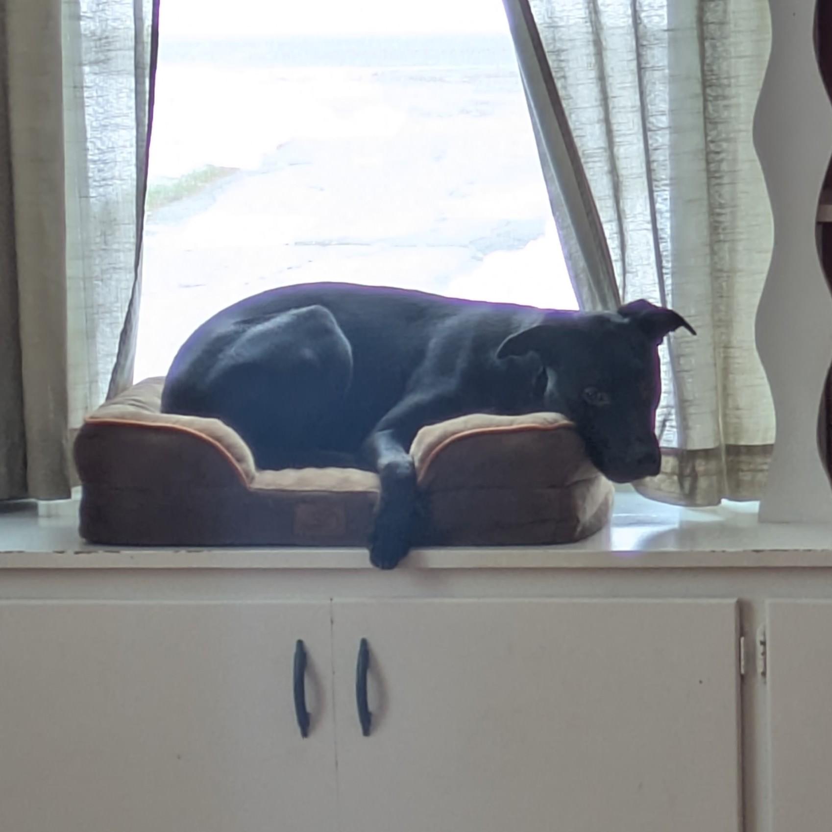 Onyx Courtesy Listing thumbnail 3