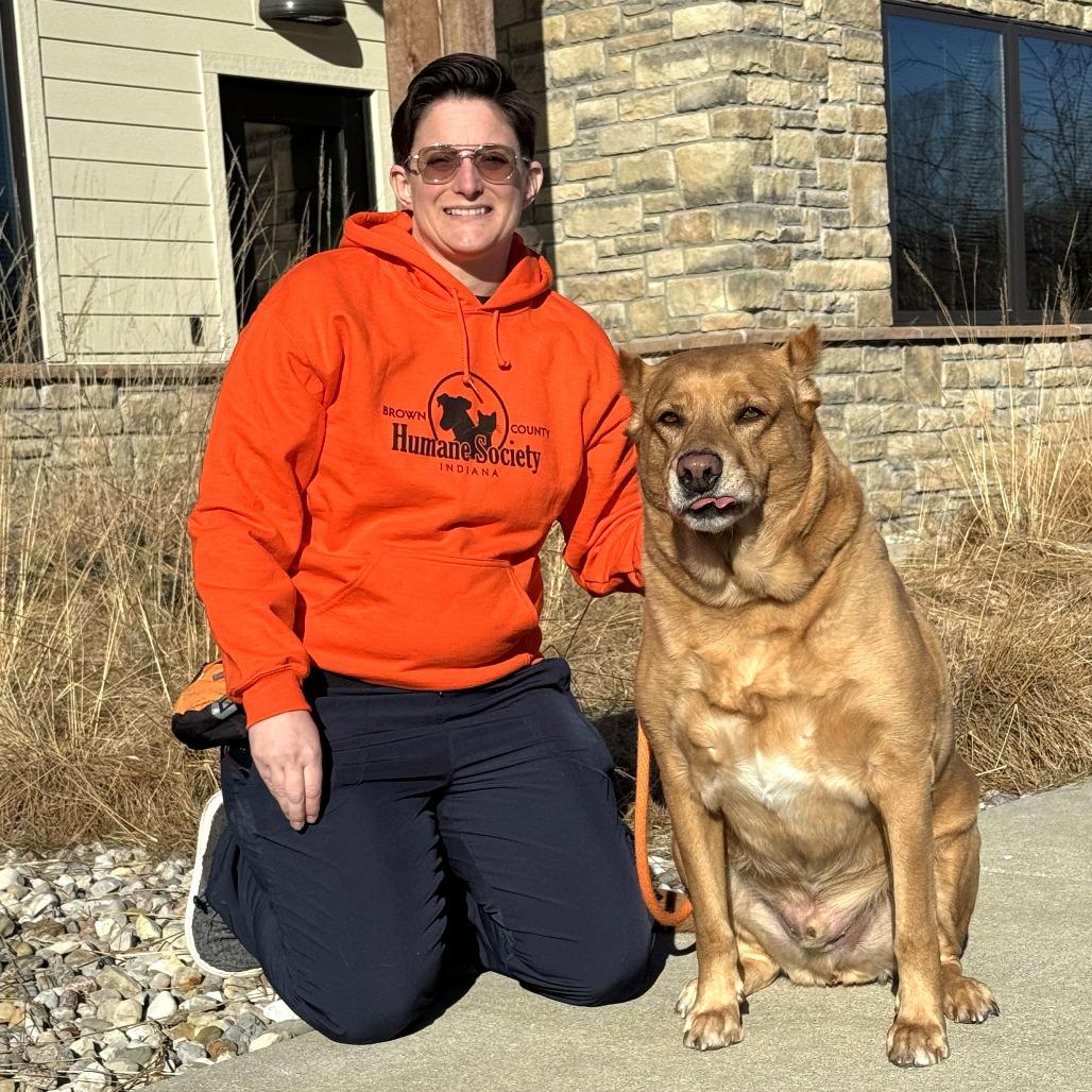 Wylie, a Adoptable Shepherd in Nashville, IN image 3/6