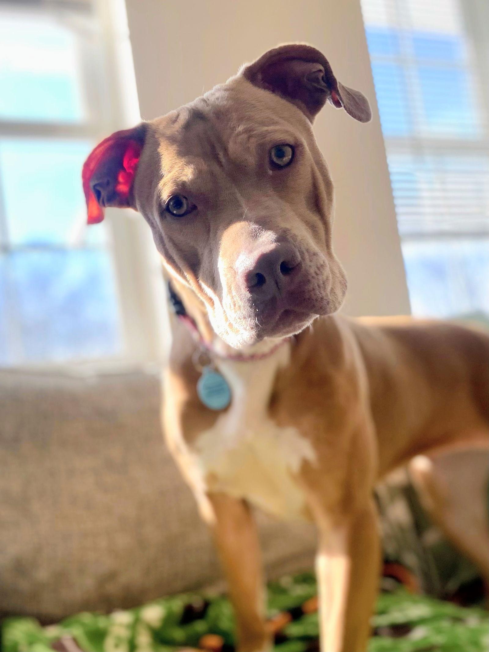 Karissa Dixon thumbnail 3