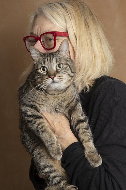Enlarge Freyja, a ADOPTABLE Domestic Short Hair in Chicago, IL image 1/5