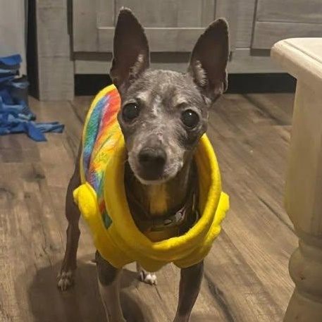 Ernestine — thumbnail 5