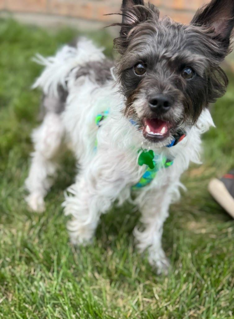 Rilo
