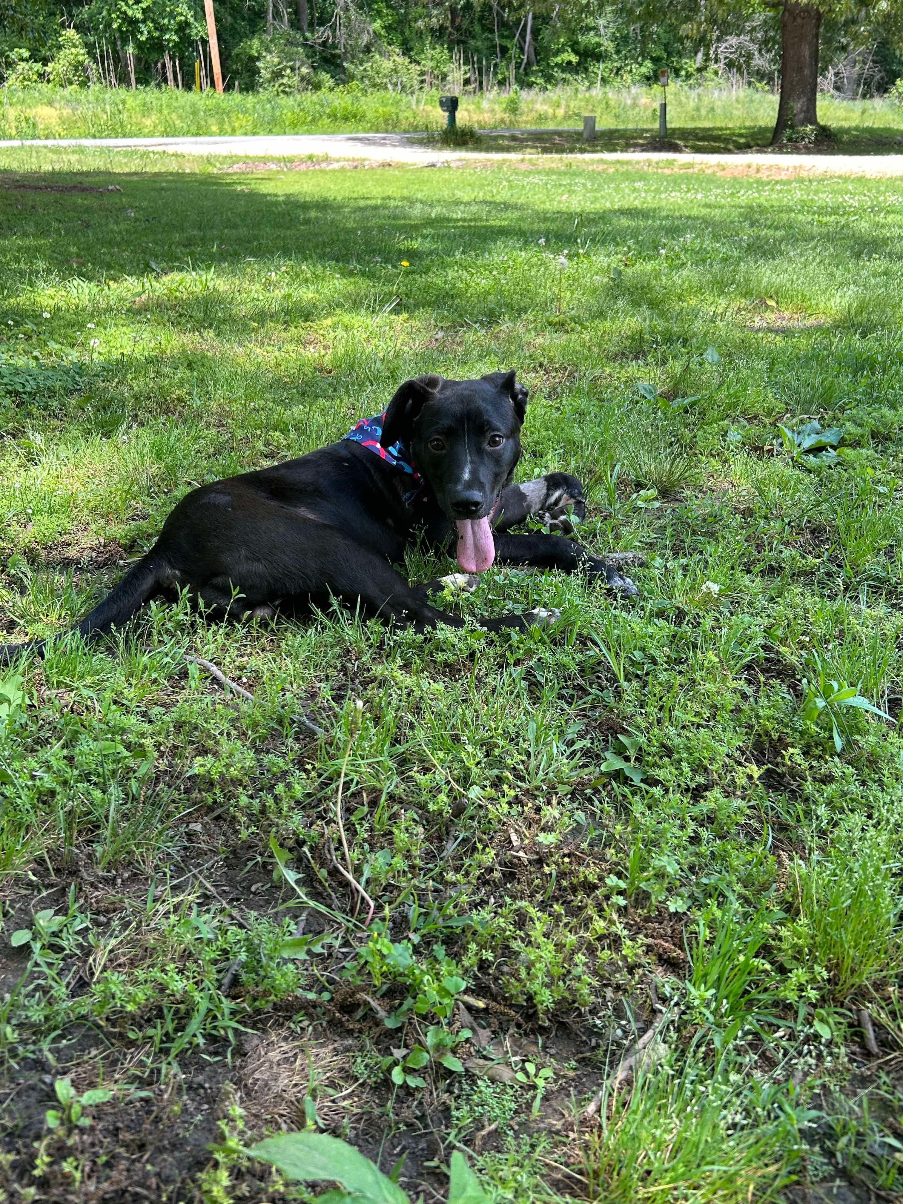 Marty photo 3