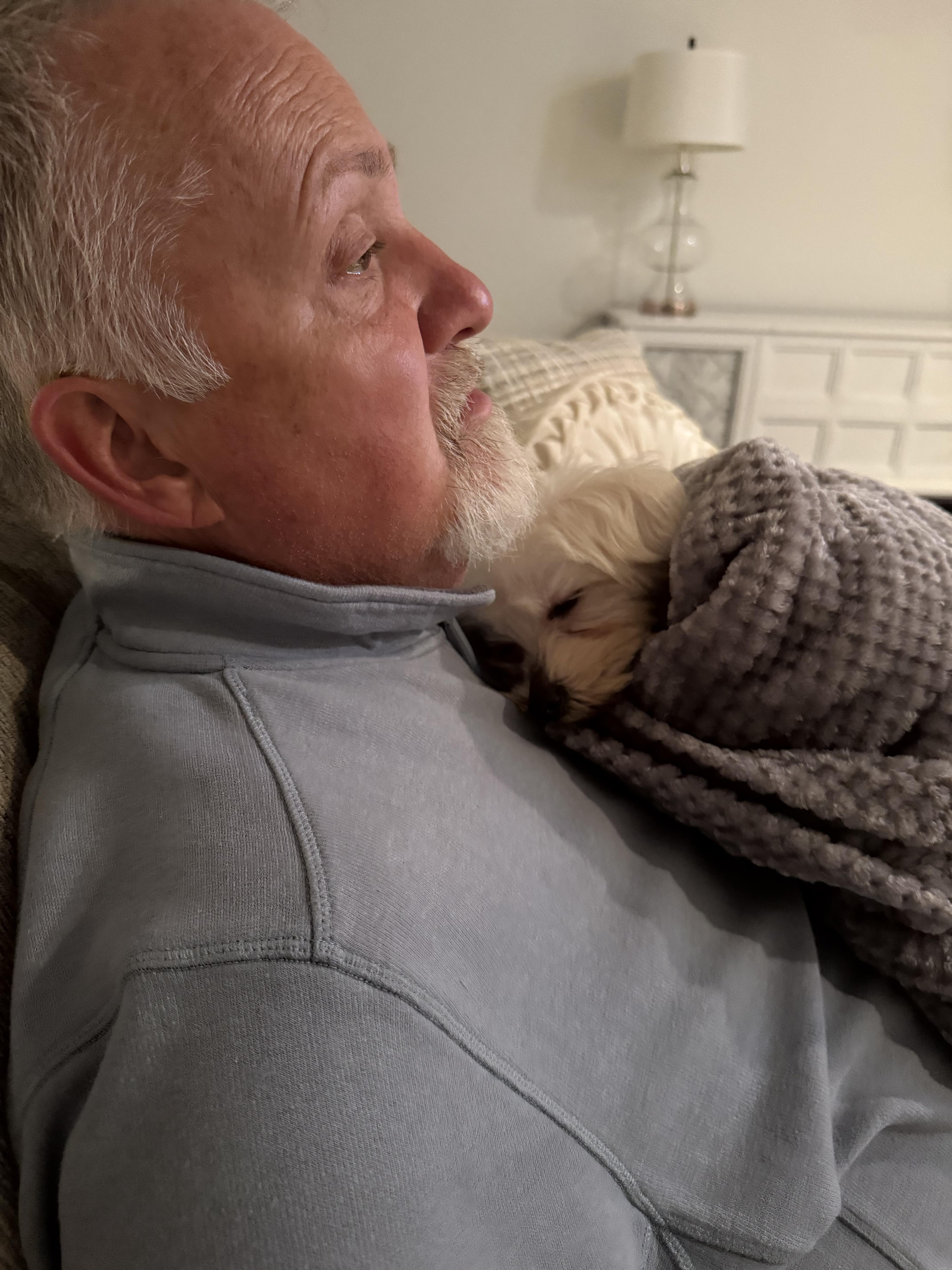 JAE, Adopted, Young Male Maltese.