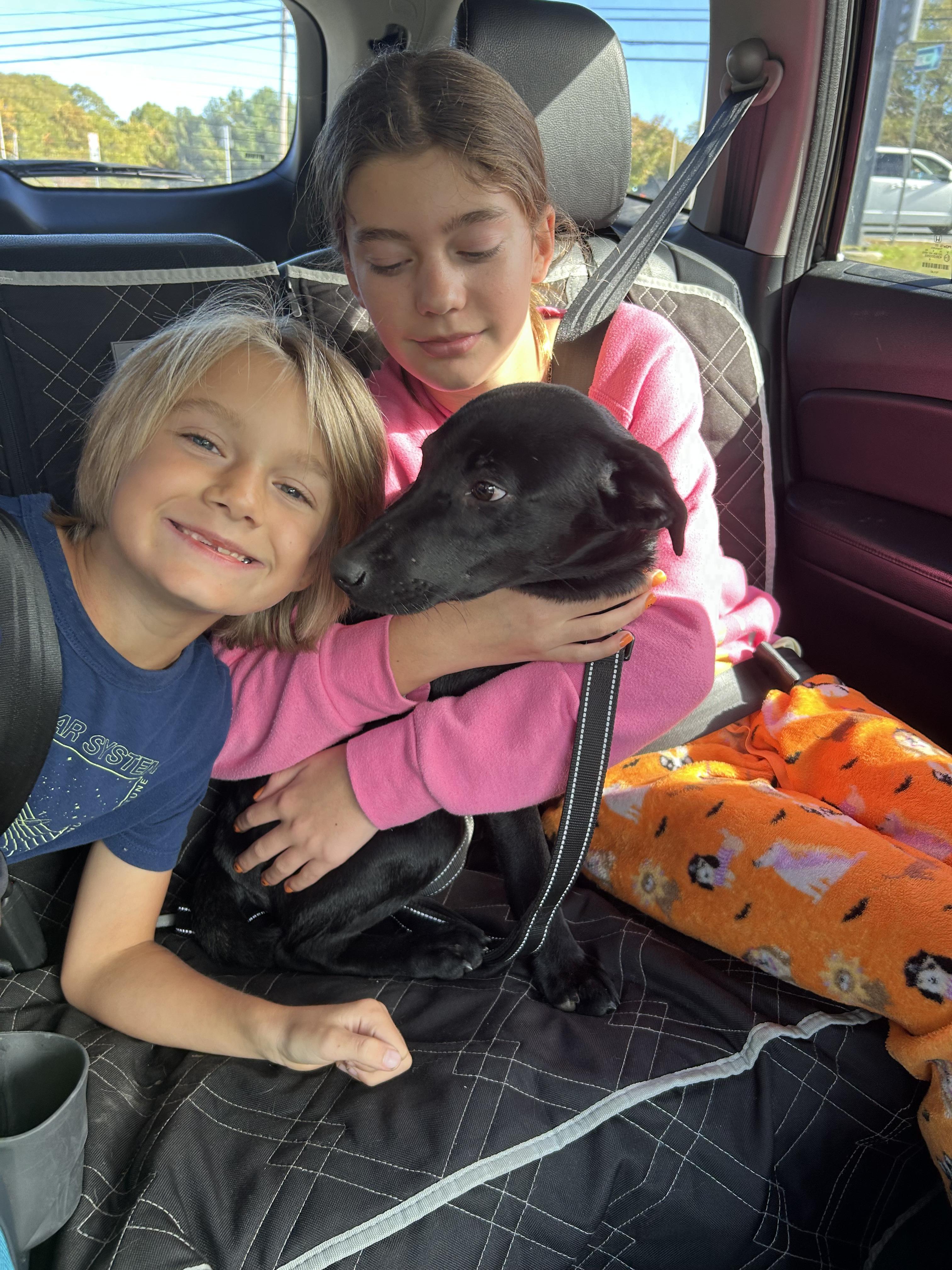 Chanel - Fostered in Rhode Island