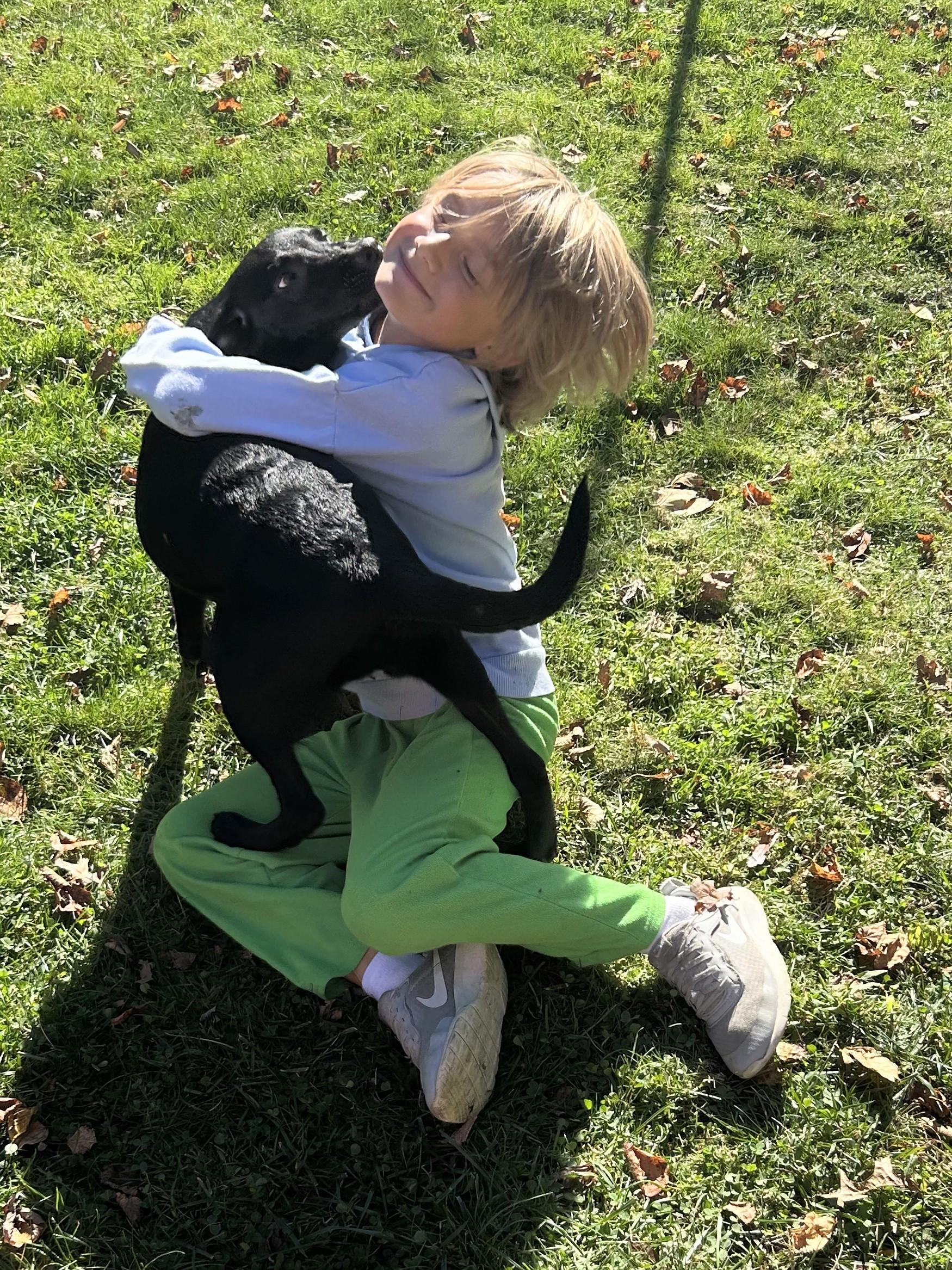 Chanel - IN RI, a Adoptable mixed breed in Willington, CT image 6/6