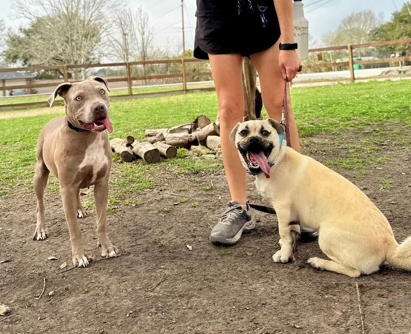 Daisy Love The Certified Sweetheart — thumbnail 3