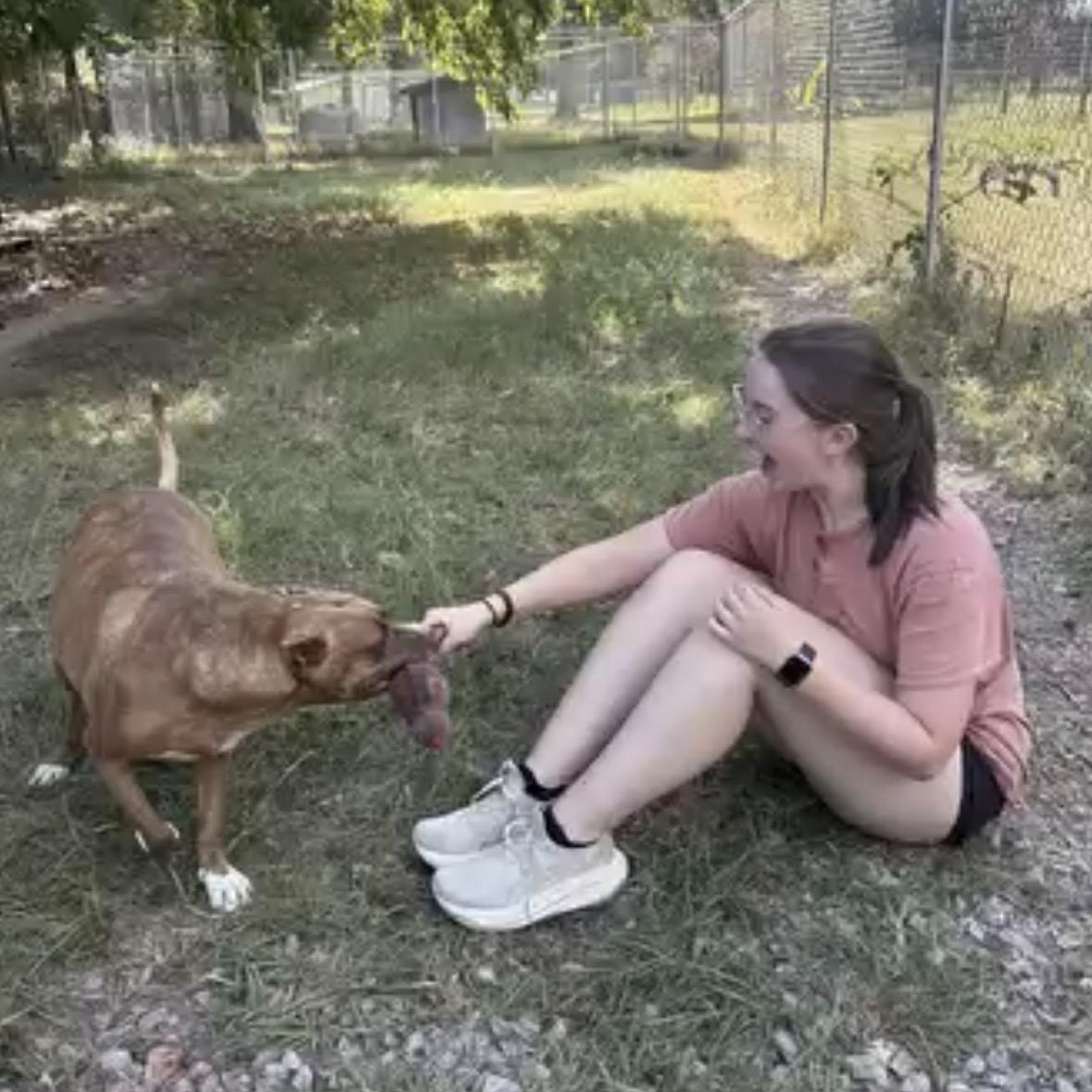 Enlarge Gia, a Adoptable mixed breed in Orangeburg, SC image 5/5