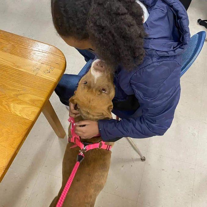 Gia, a Adoptable Mixed Breed in Orangeburg, SC image 2/6