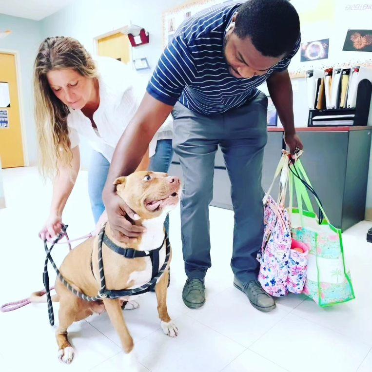 Gia, a Adoptable Mixed Breed in Orangeburg, SC image 4/6