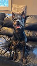 Wrangler thumbnail 2