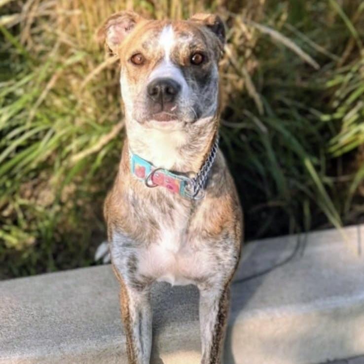 Lady Lucy (20250624-01)