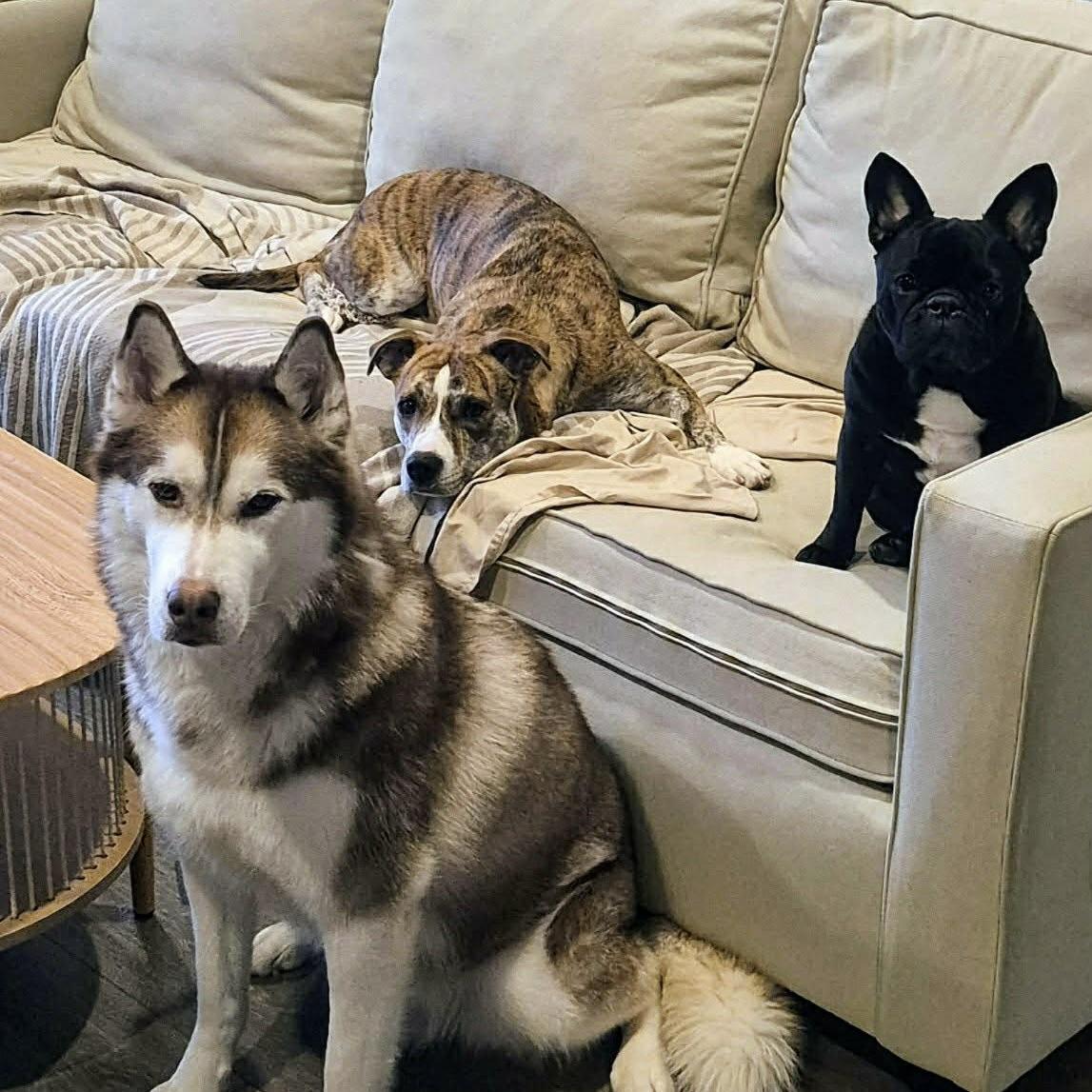 Lady Lucy (20250624-01) — thumbnail 5