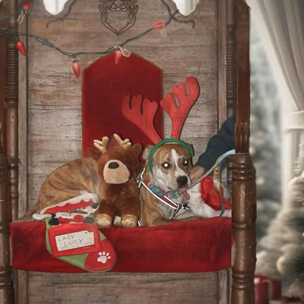 Lady Lucy (20250624-01) — thumbnail 6