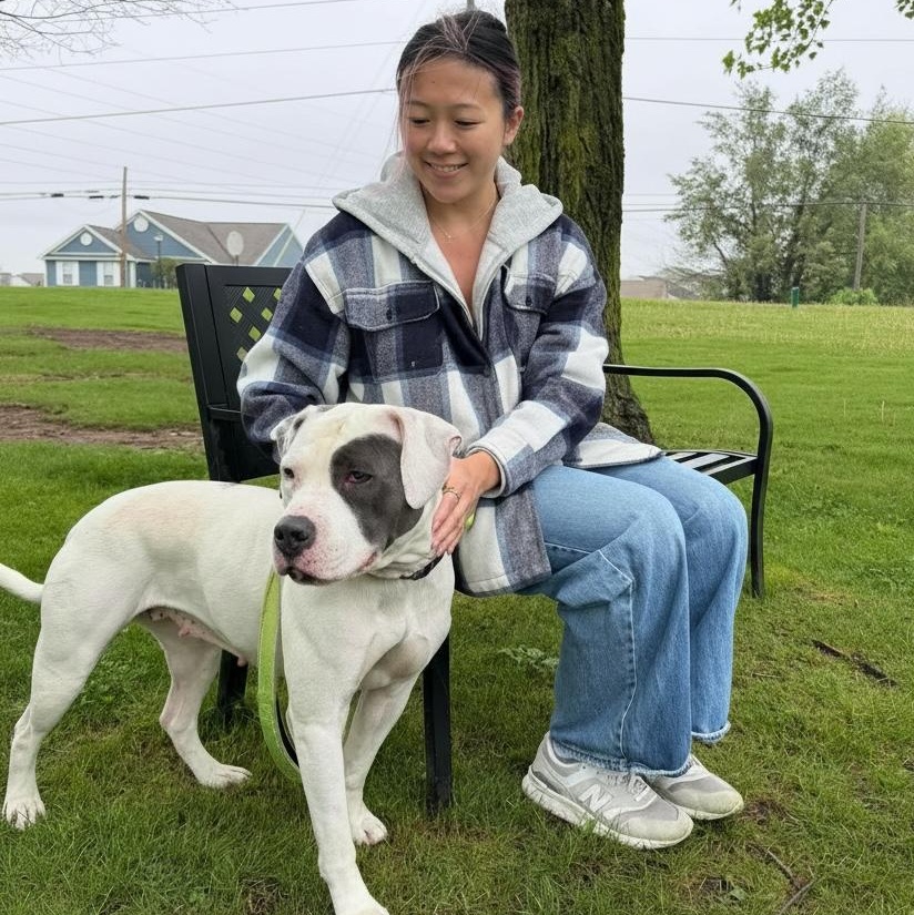 Enlarge Maya, a Adoptable mixed breed in Elyria, OH image 4/6