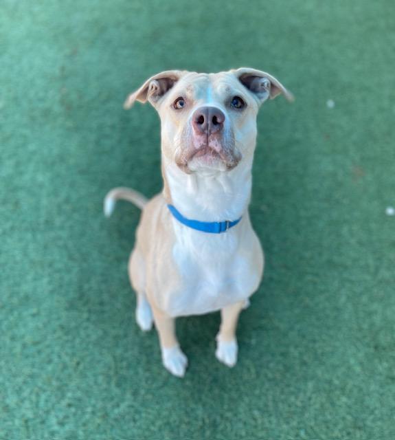 MAYFLOWER — thumbnail 2