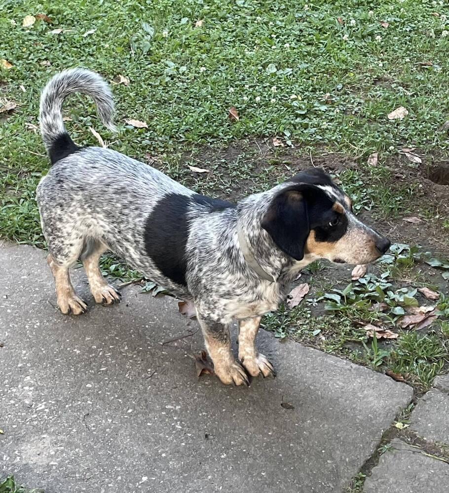 Stella ~ — thumbnail 2