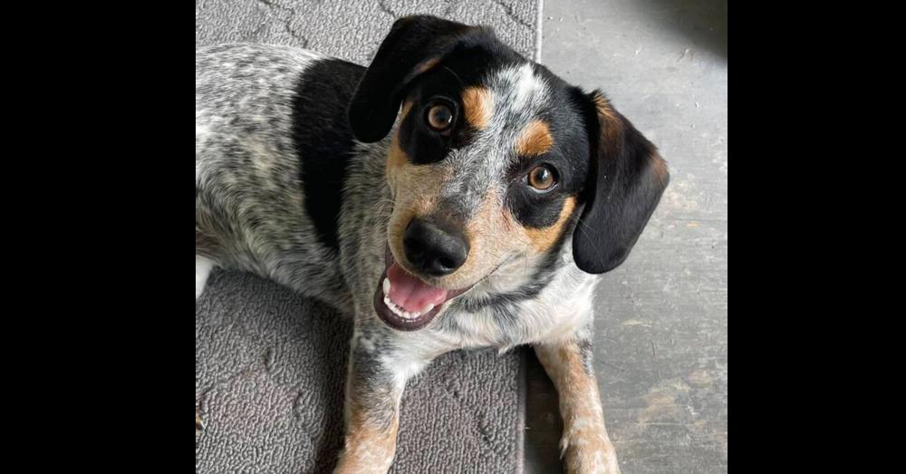 Stella ~ — thumbnail 3