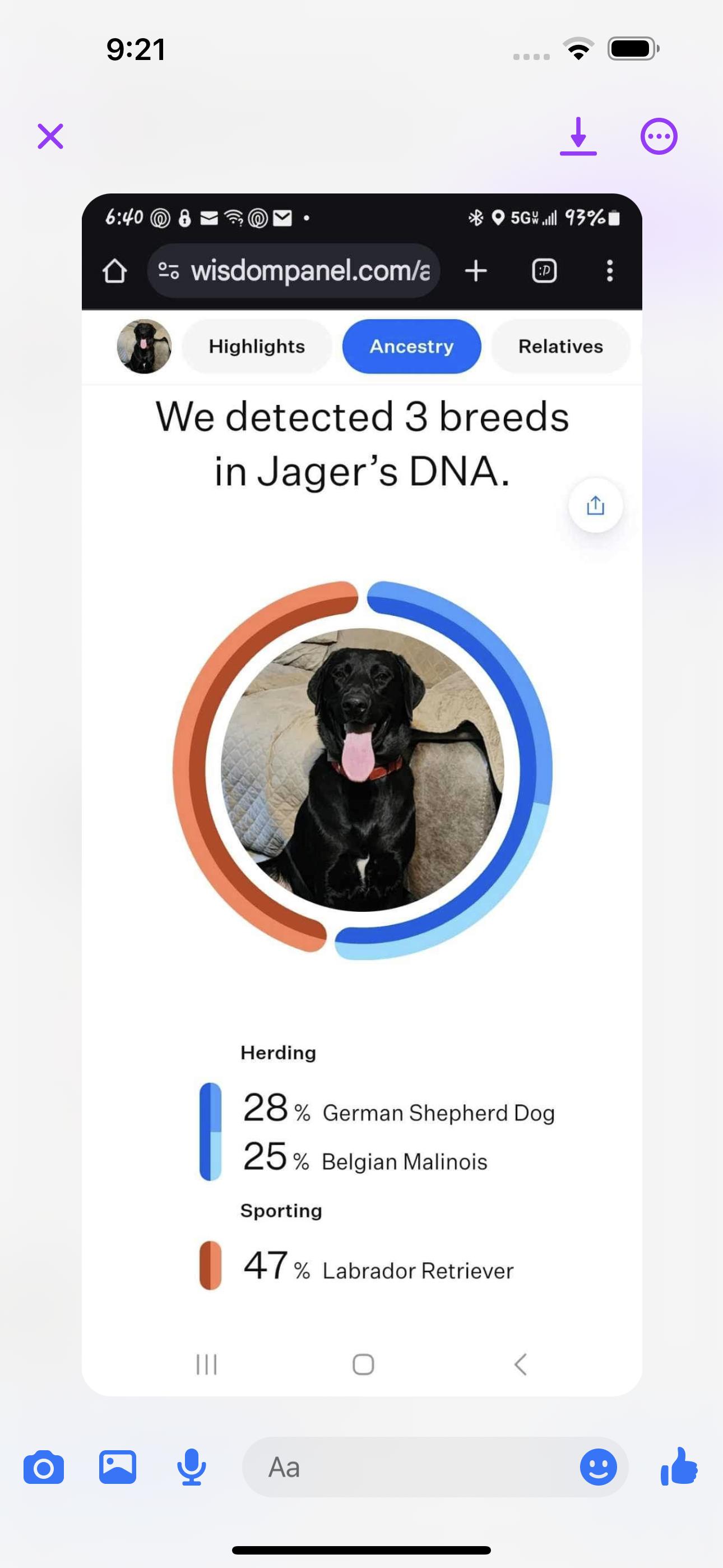 Pippa, a Adopted mixed breed in Ragland, AL image 4/6