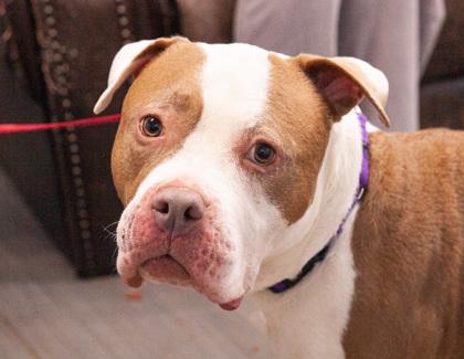 Barbie — thumbnail 2