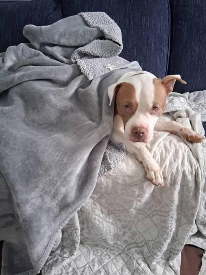 Barbie — thumbnail 3