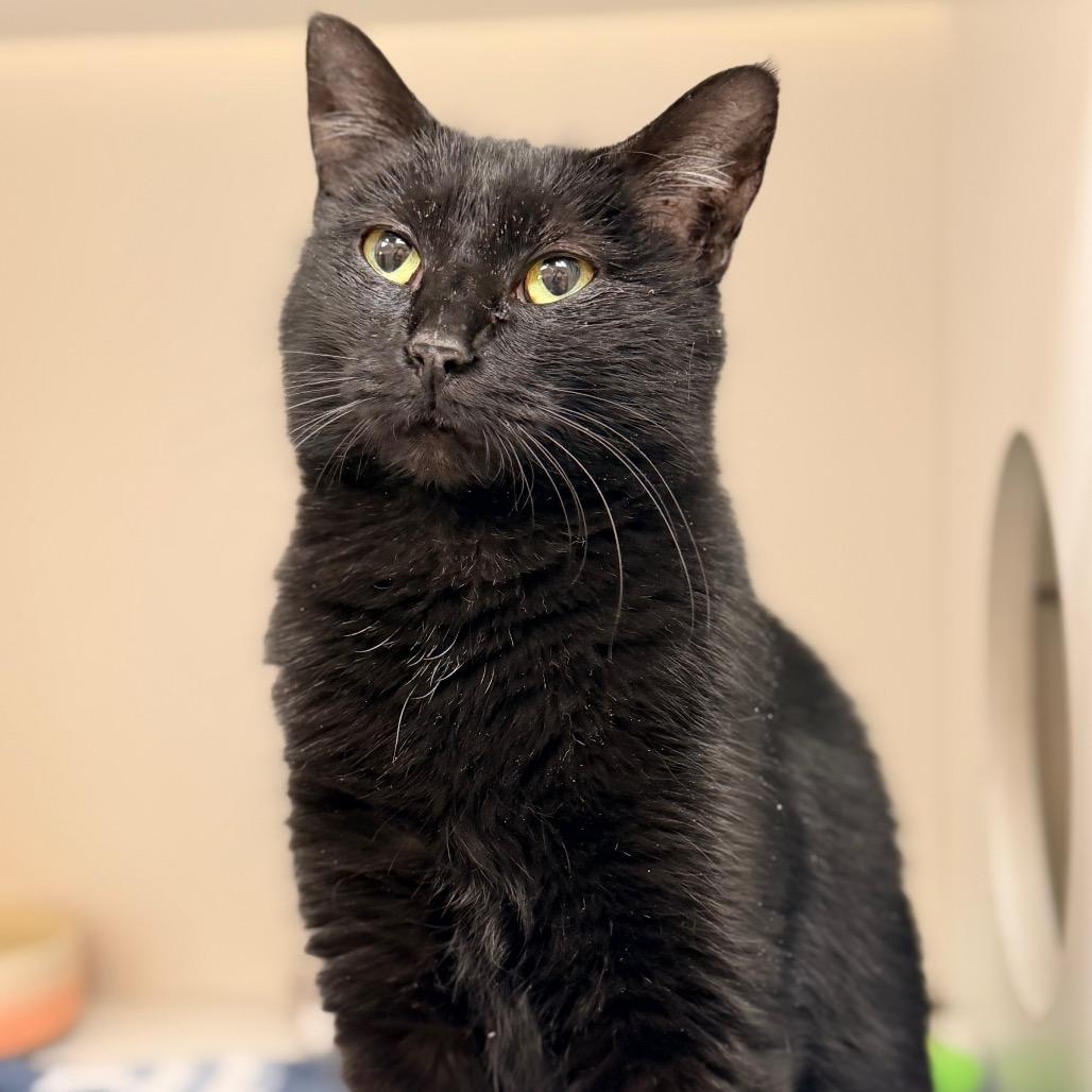 Storm — thumbnail 2