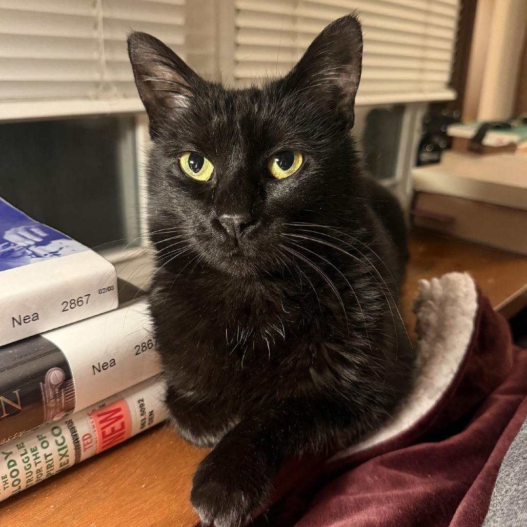 Storm — thumbnail 3