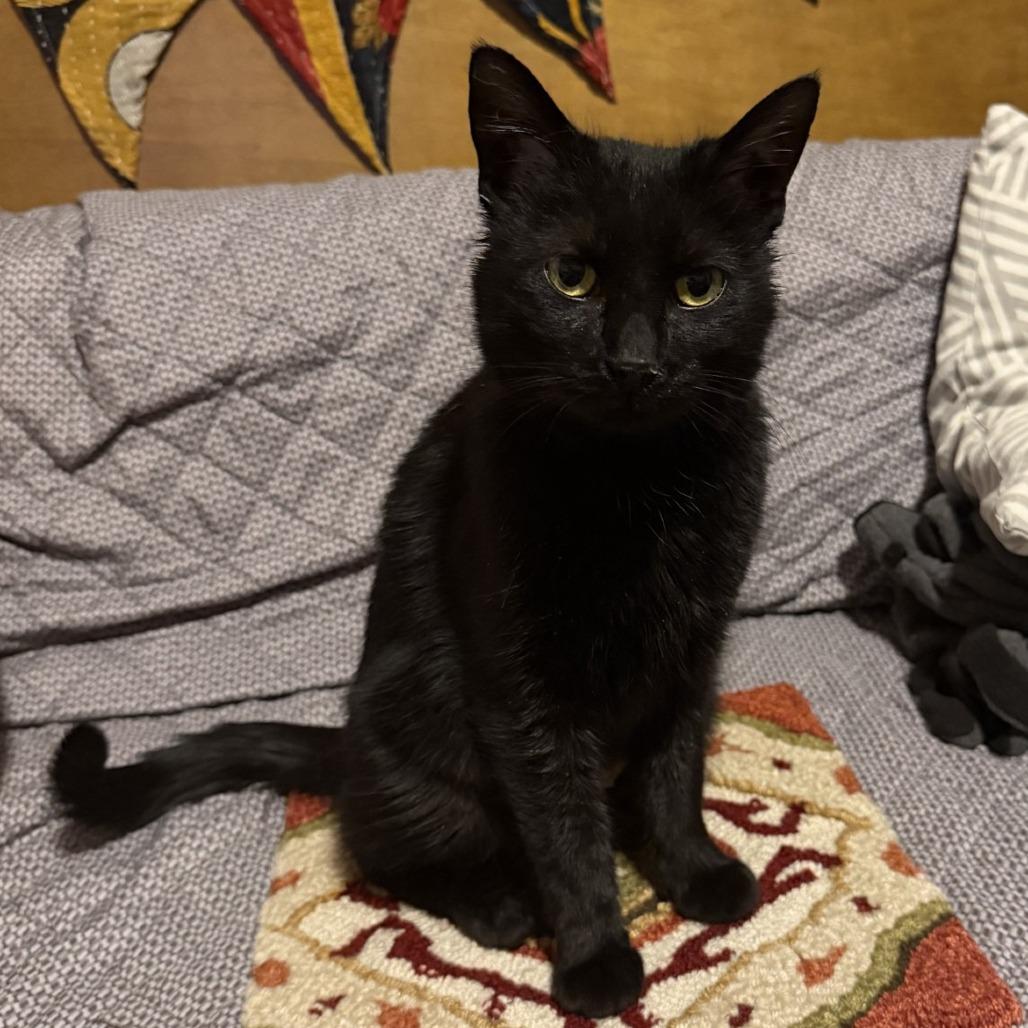 Storm — thumbnail 4