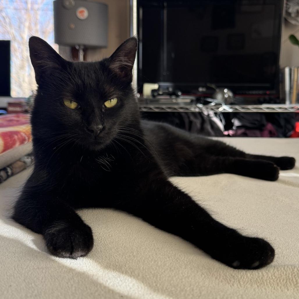 Storm — thumbnail 5