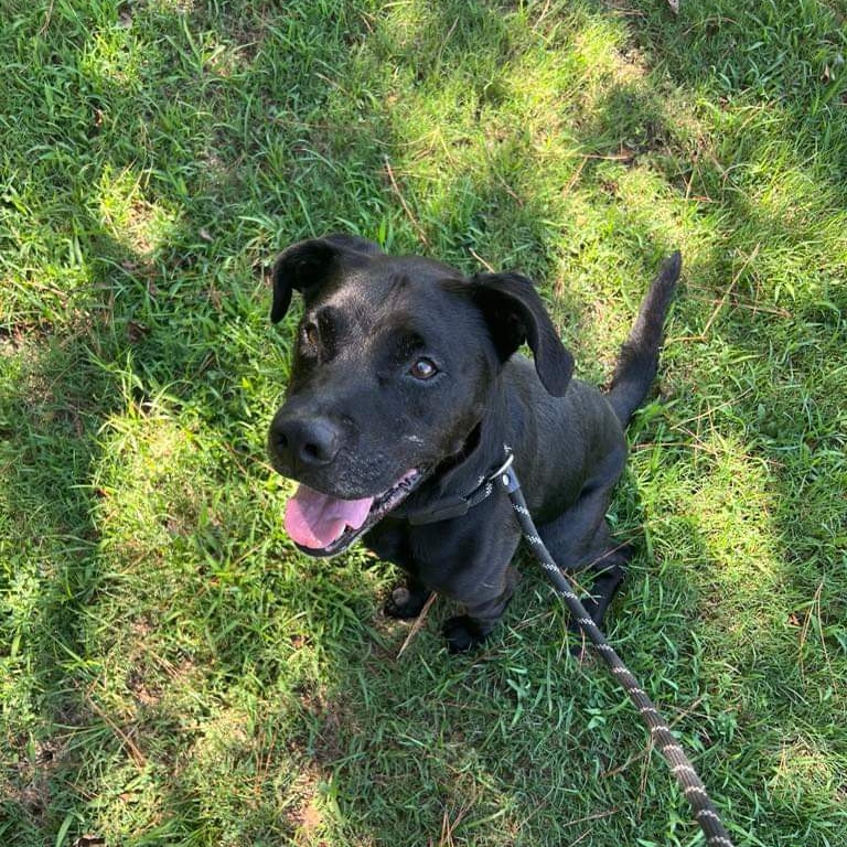 Jackson - in foster home