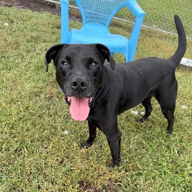 Jackson - in foster home