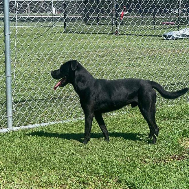 Jackson - in foster home