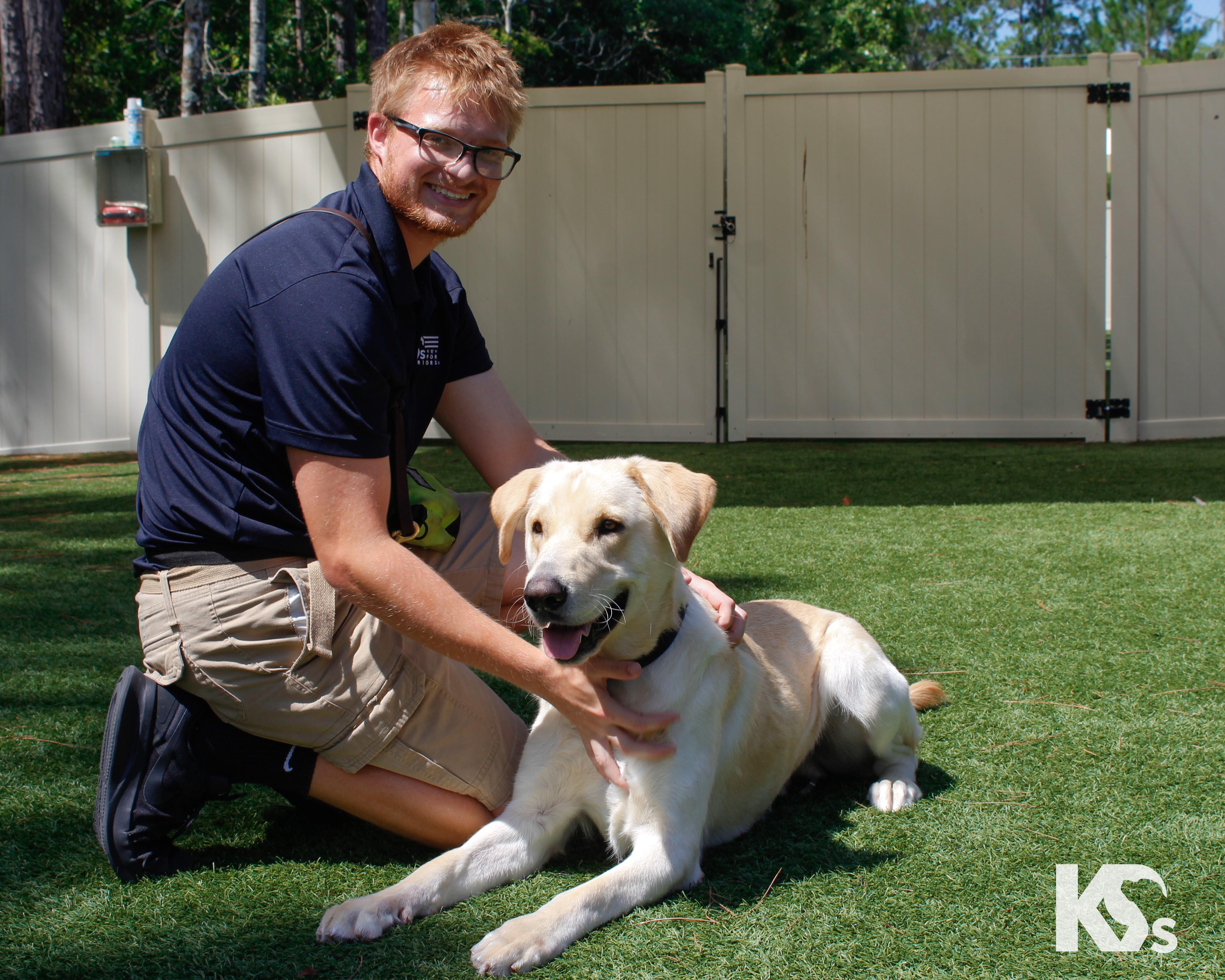 Fiji, a Adoptable mixed breed in Ponte Vedra, FL image 5/6
