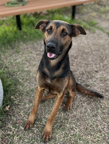 Coraline — thumbnail 2