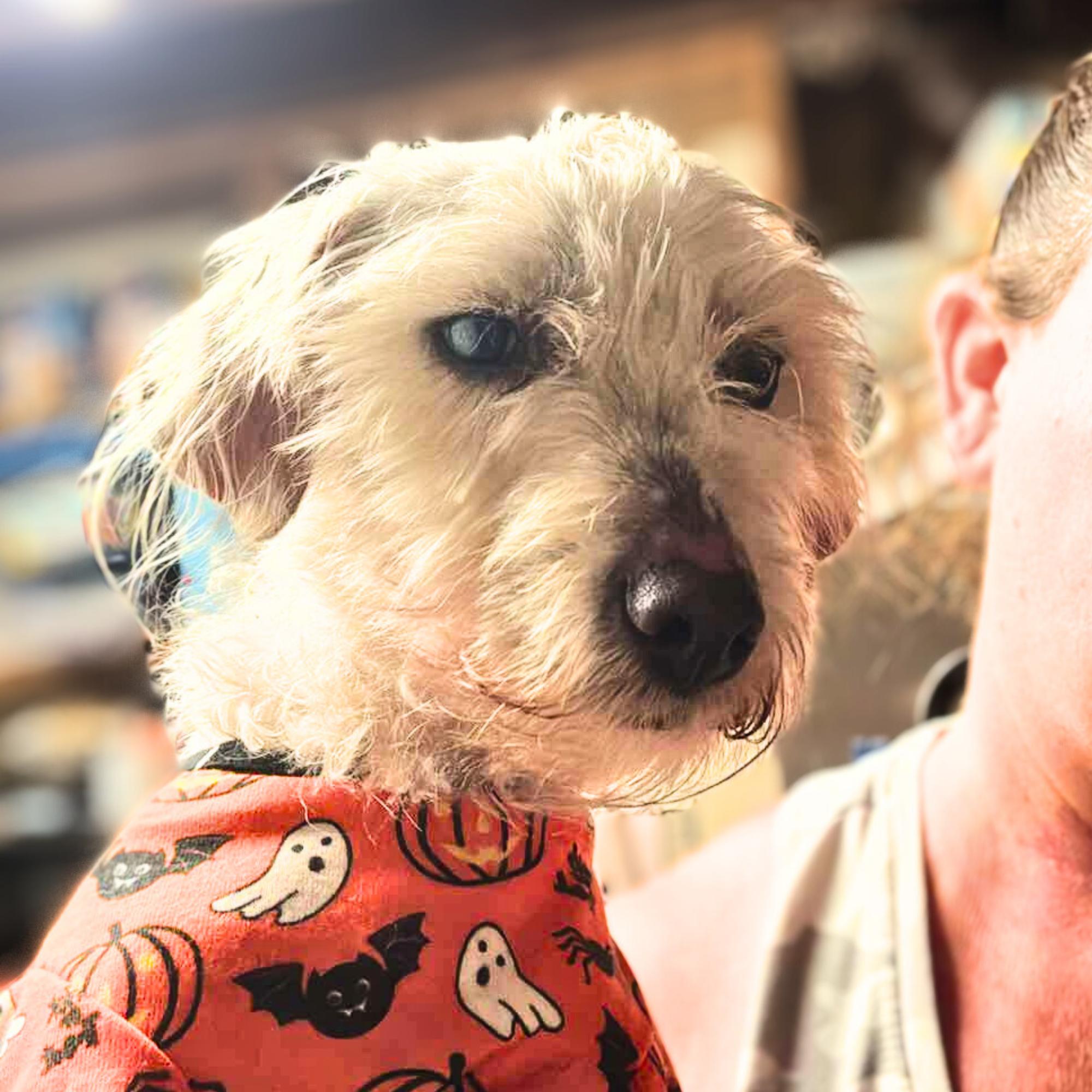 T-shirt thumbnail 5