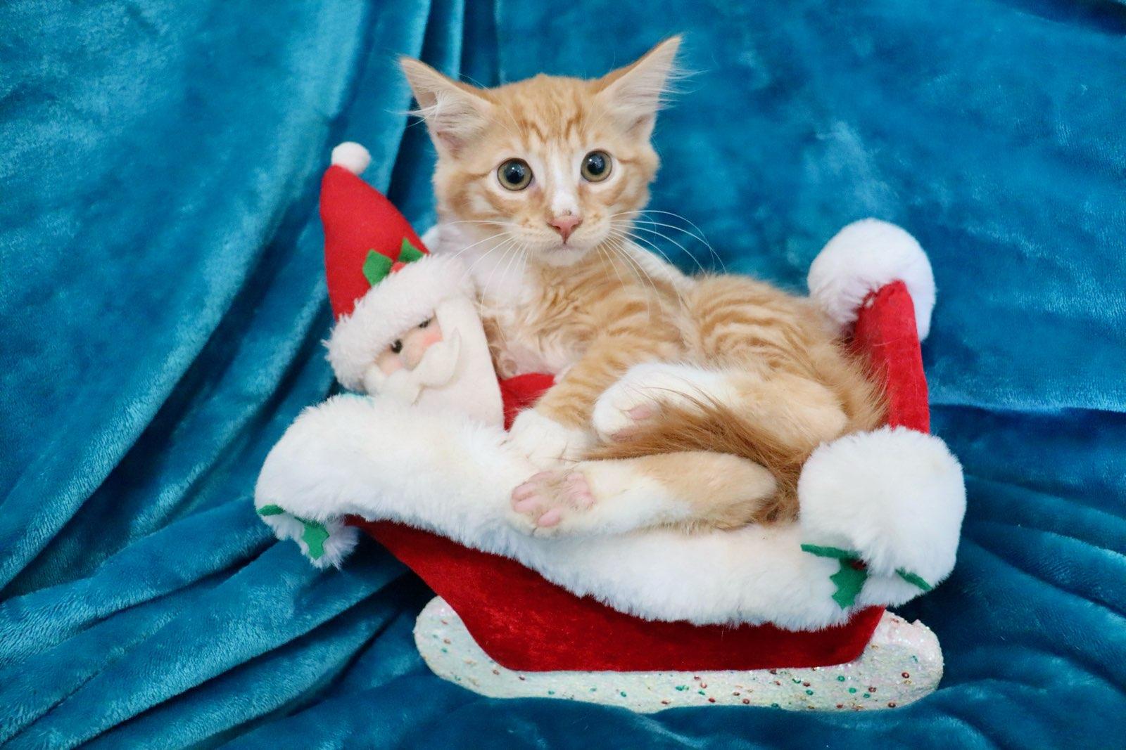 Yellowstone thumbnail 5