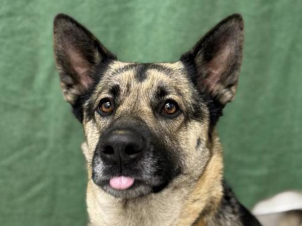 Jenna — thumbnail 2