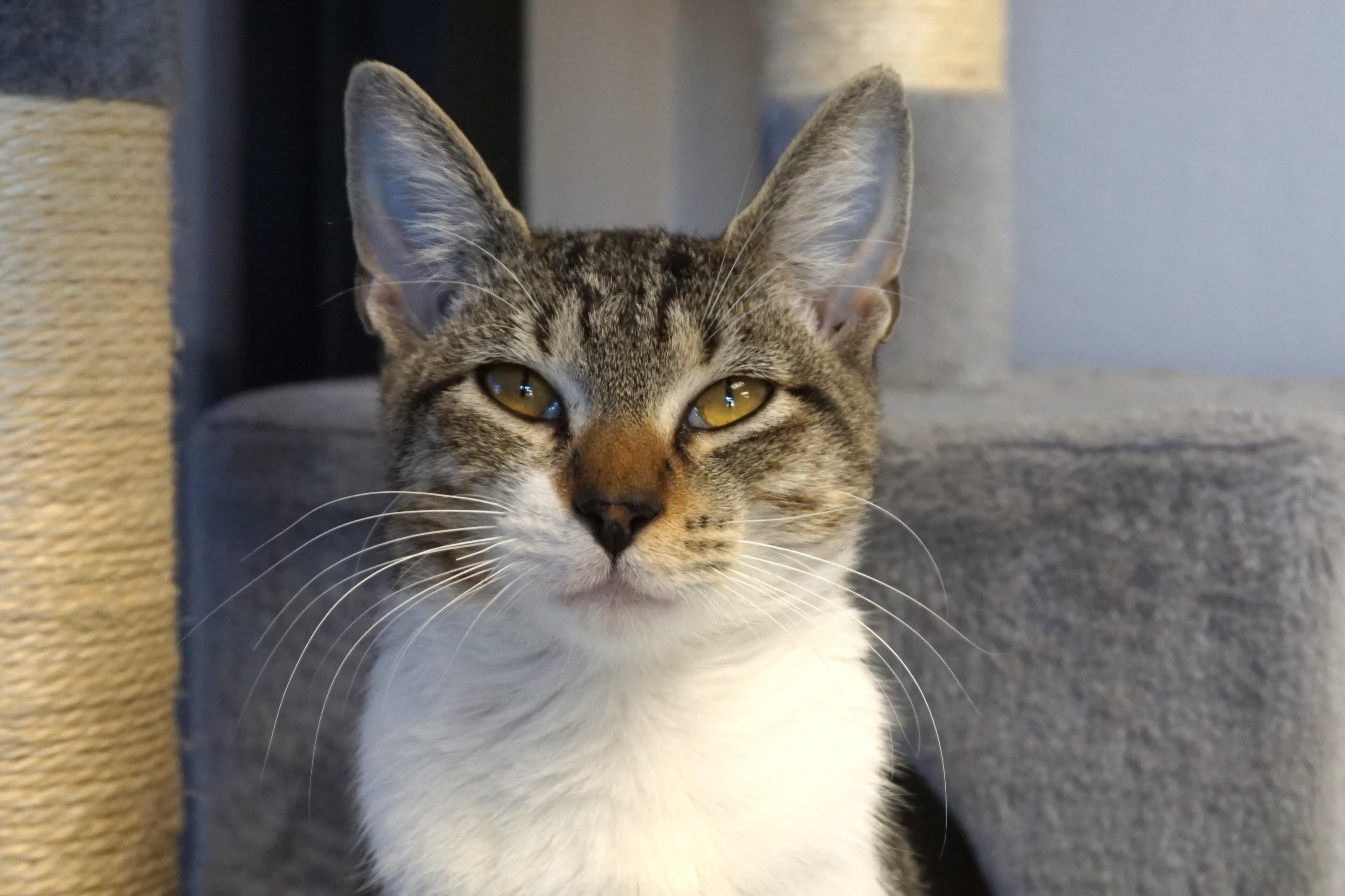 Gravy — thumbnail 3