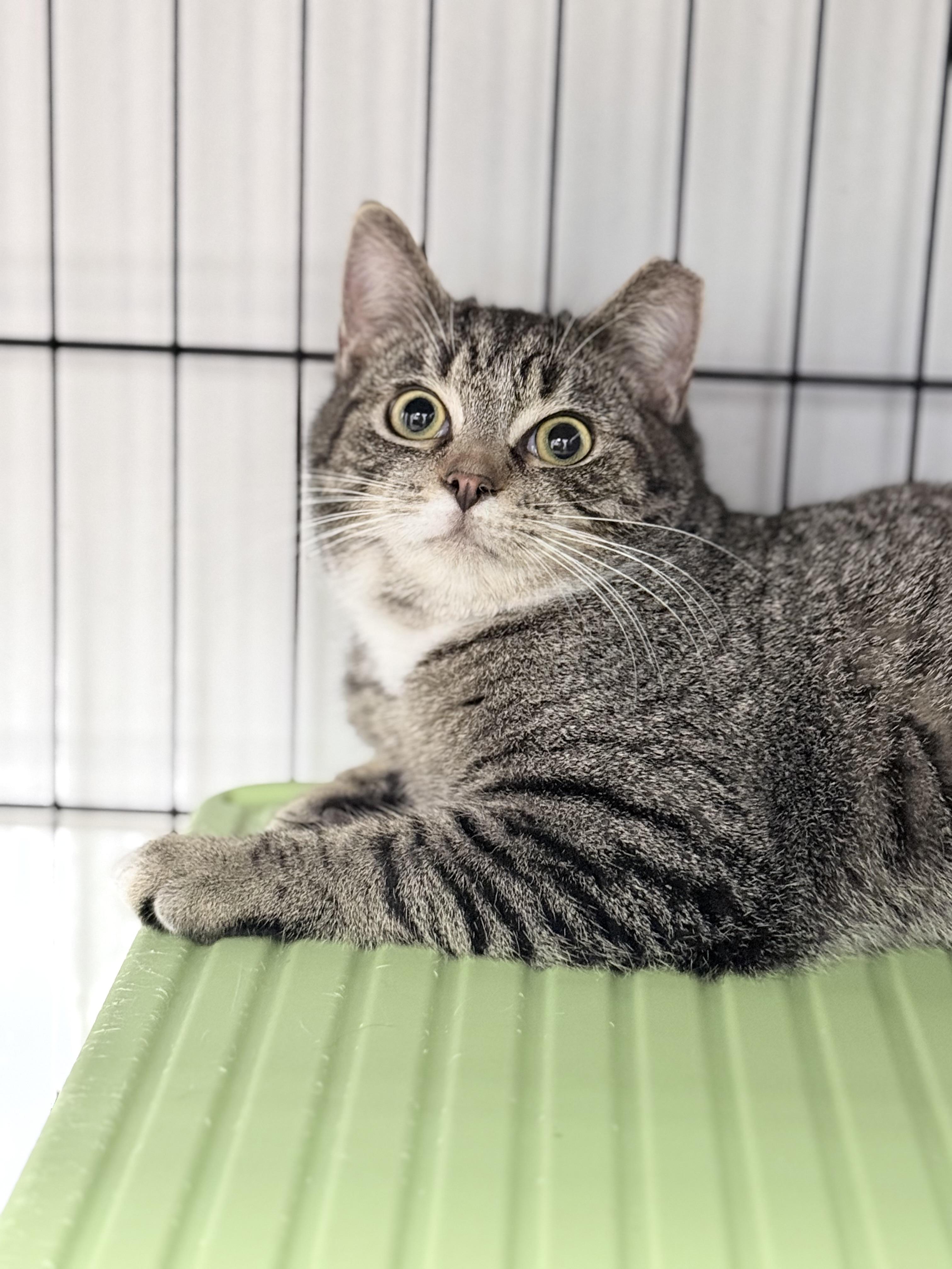 Downy And Drizzle thumbnail 5