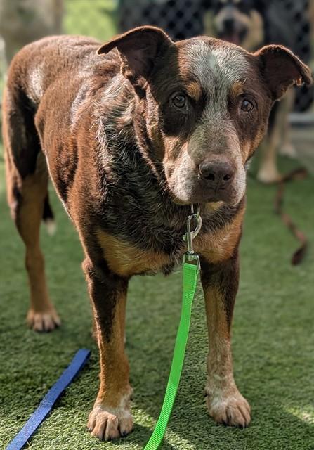 SQUEAKER — thumbnail 2