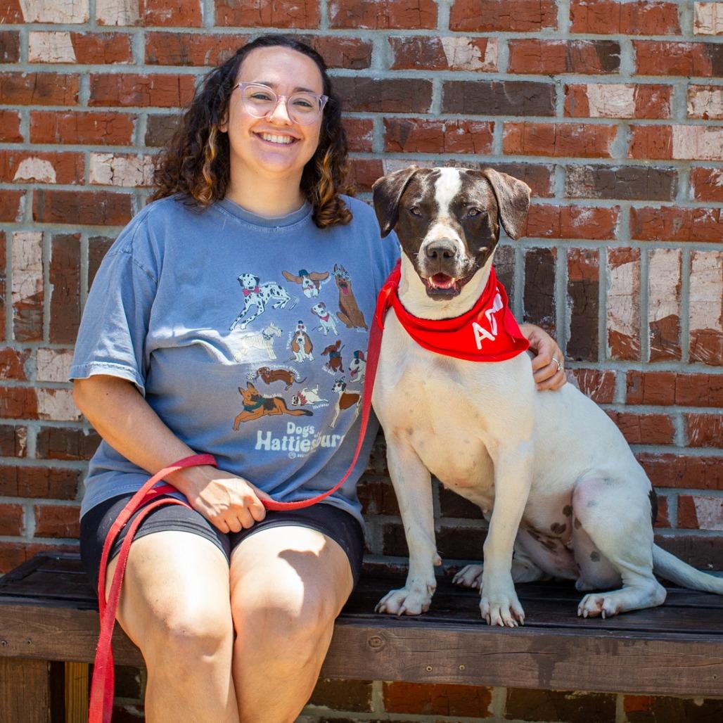 Selune, Adoptable, Adult Female Basset Hound & English Bulldog.