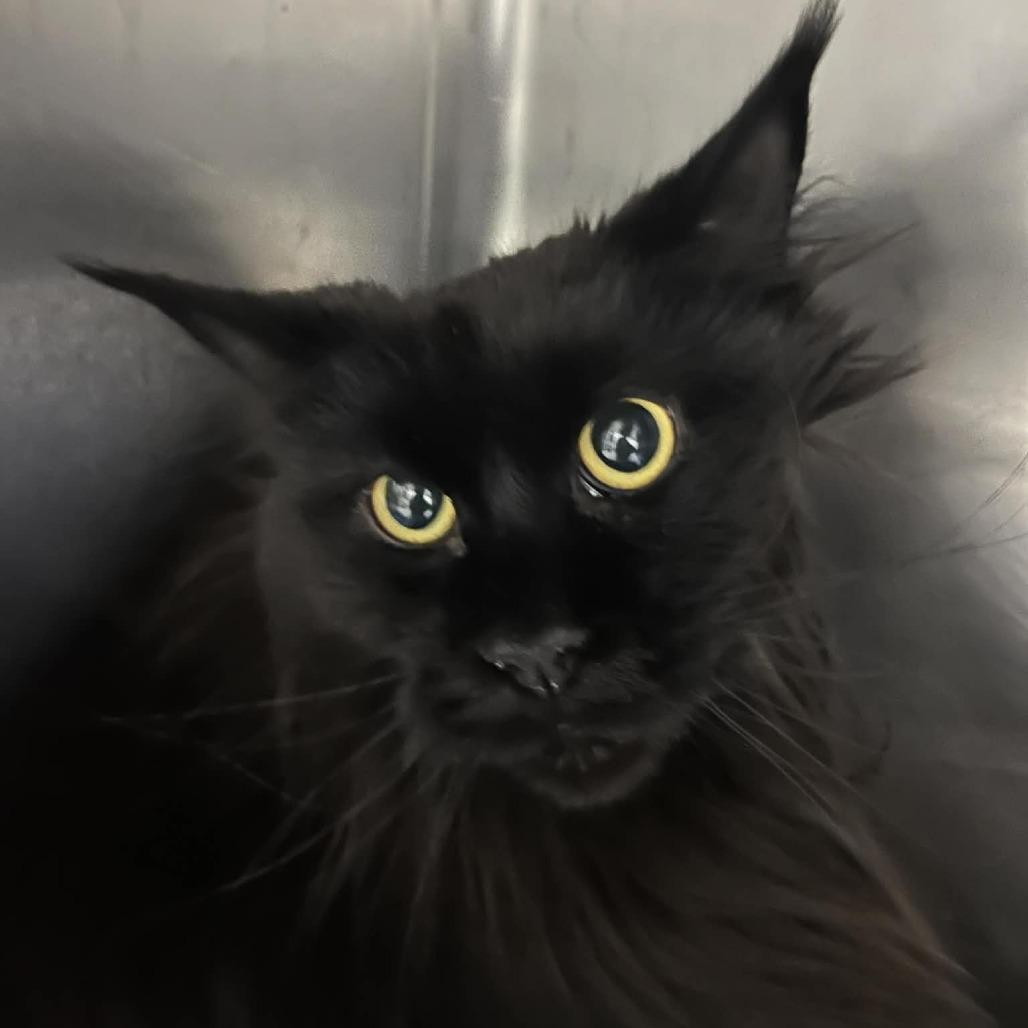 Felicity thumbnail 3