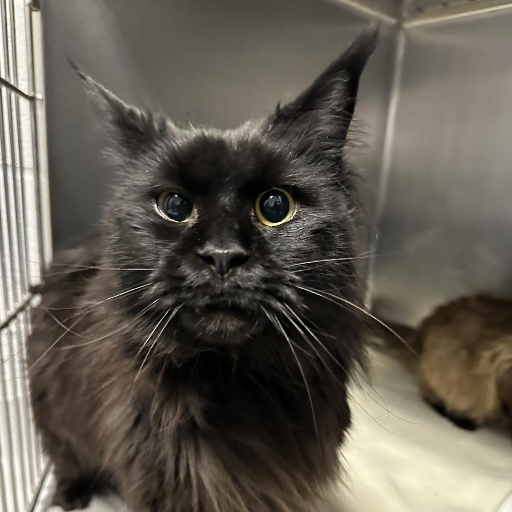 Felicity thumbnail 4