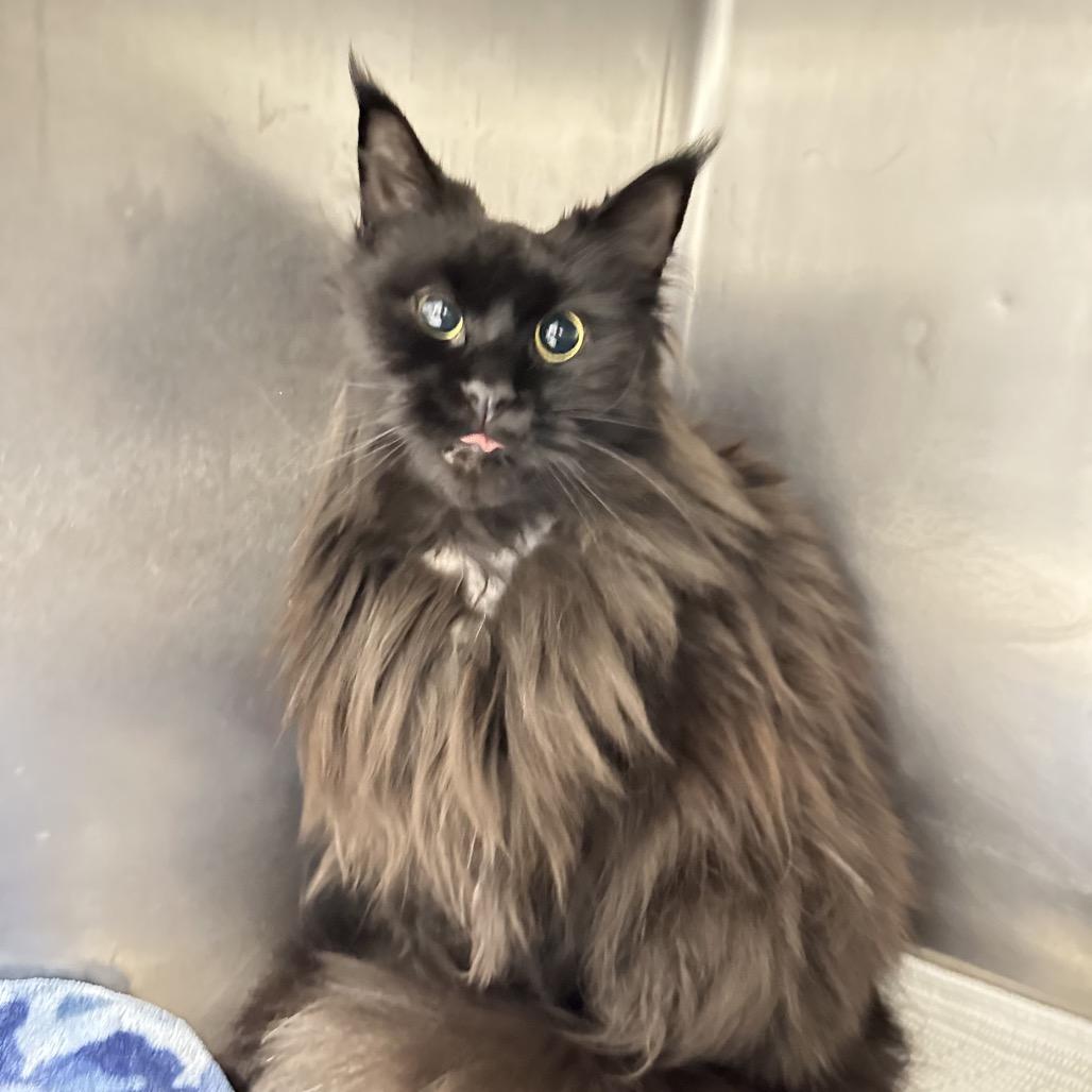 Felicity thumbnail 5