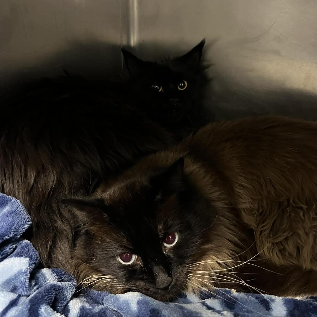 Felicity thumbnail 6