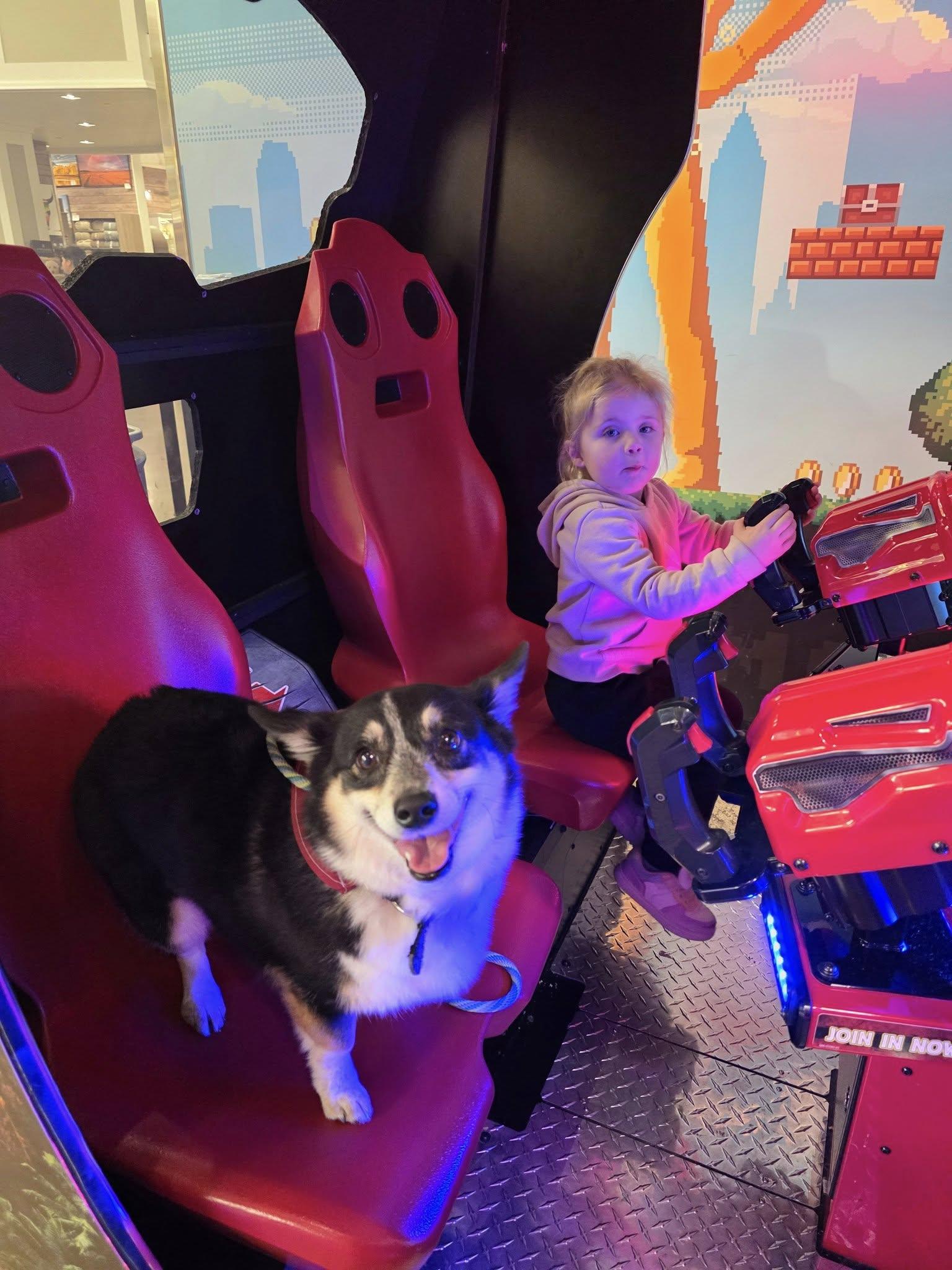 Anu, an adopted mixed breed in Broken Arrow, OK image 2/2