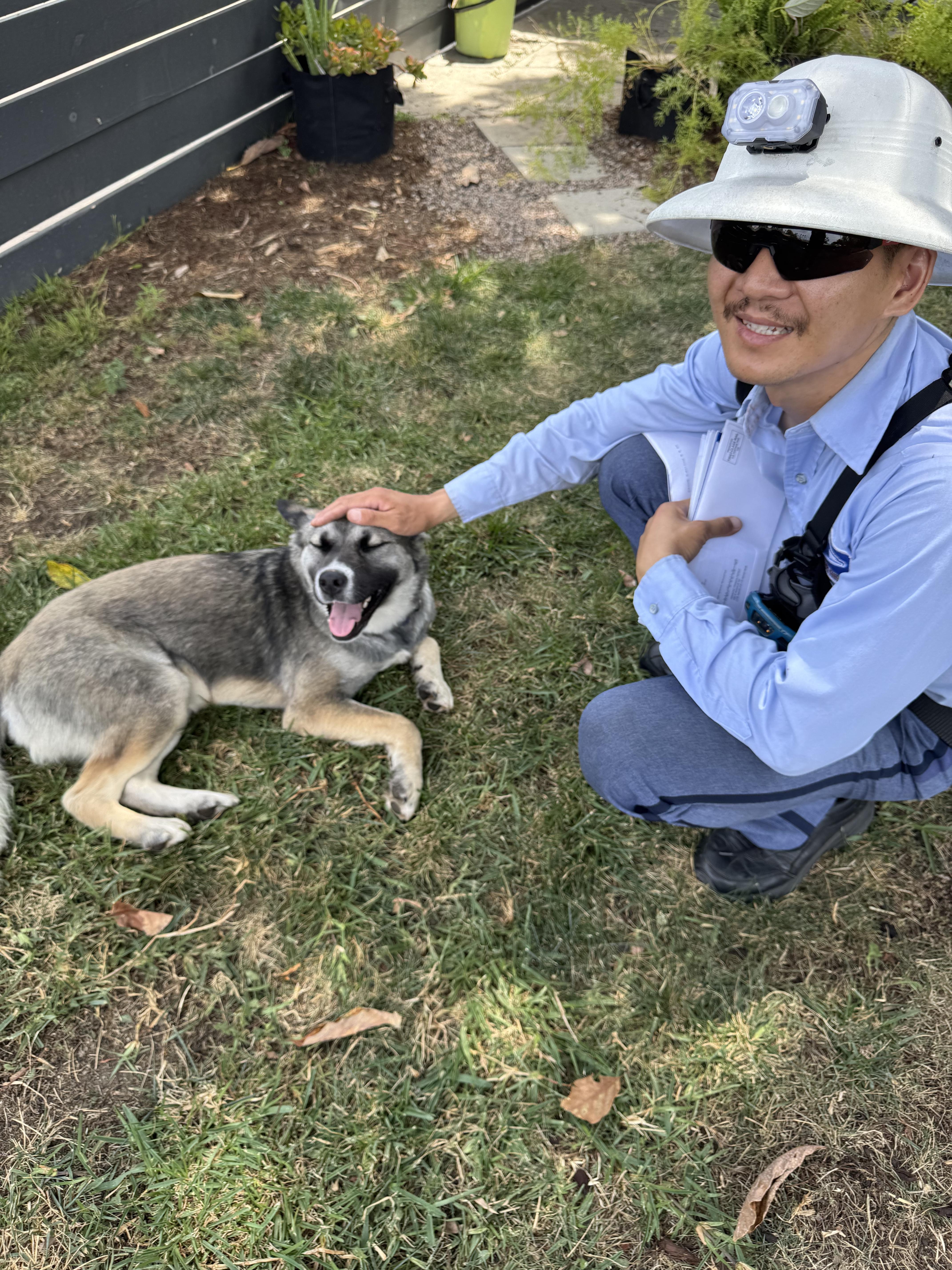 Cinnamon Toast, a ADOPTABLE mixed breed in Burbank, CA image 5/5